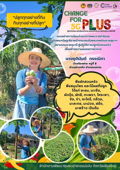 ครัวเรือนต้นแบบในการน้อมนำแนวทางพระราชดำริของสมเด็จพระกนิษฐาธิราชเจ้ากรมสมเด็จพระเทพรัตนราชสุดาฯ สยามบรมราชกุมารี สู่ปฏิบัติการปลูกผักสวนครัว เพื่อสร้างความมั่นคงทางอาหาร